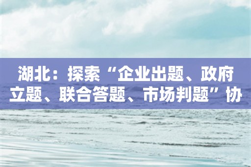 湖北：探索“企业出题、政府立题、联合答题、市场判题”协同机制