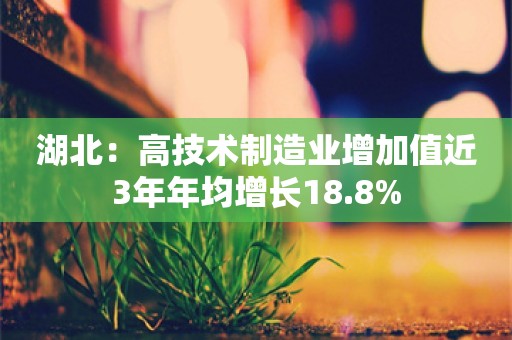 湖北：高技术制造业增加值近3年年均增长18.8%