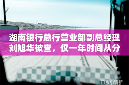 湖南银行总行营业部副总经理刘旭华被查，仅一年时间从分行行助升到副行长