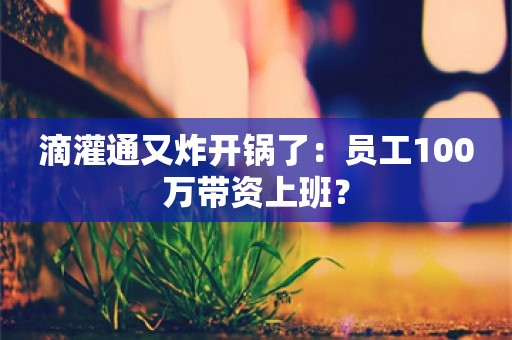 滴灌通又炸开锅了：员工100万带资上班？