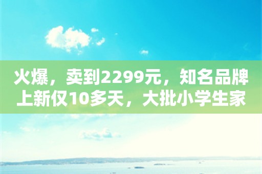 火爆，卖到2299元，知名品牌上新仅10多天，大批小学生家长被娃缠着买它