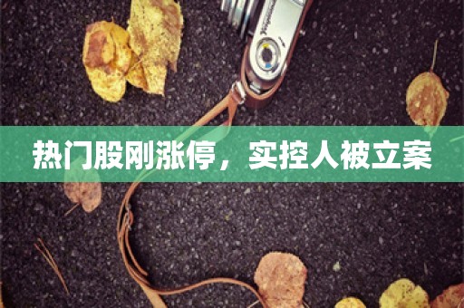 热门股刚涨停，实控人被立案