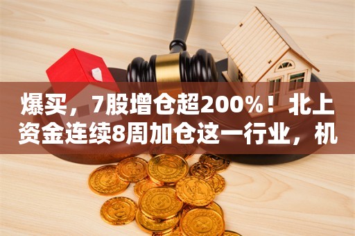 爆买，7股增仓超200%！北上资金连续8周加仓这一行业，机构扎堆看好股曝光