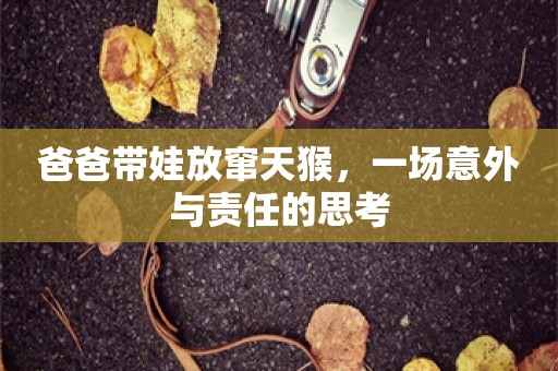 爸爸带娃放窜天猴，一场意外与责任的思考