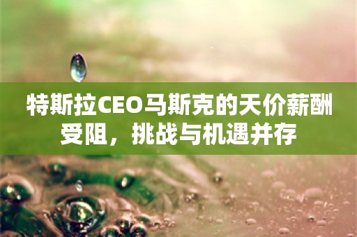 特斯拉CEO马斯克的天价薪酬受阻，挑战与机遇并存