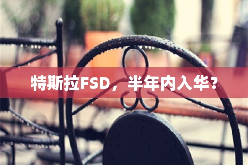 特斯拉FSD，半年内入华？