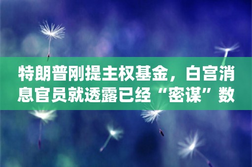 特朗普刚提主权基金，白宫消息官员就透露已经“密谋”数月_ZAKER新闻