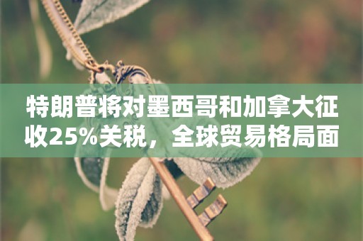 特朗普将对墨西哥和加拿大征收25%关税，全球贸易格局面临新挑战