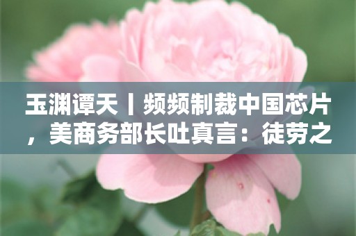 玉渊谭天丨频频制裁中国芯片，美商务部长吐真言：徒劳之举