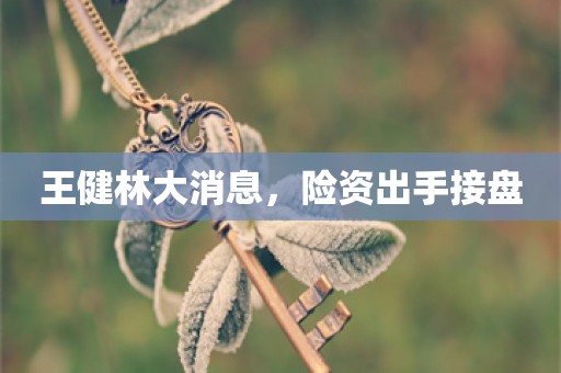 王健林大消息，险资出手接盘