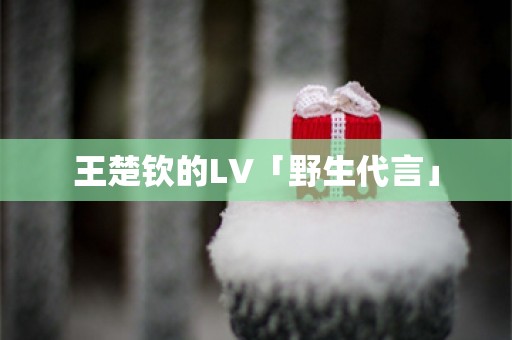 王楚钦的LV「野生代言」