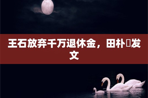 王石放弃千万退休金，田朴珺发文