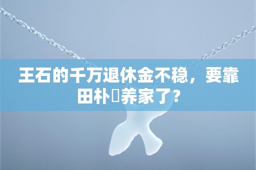 王石的千万退休金不稳，要靠田朴珺养家了？