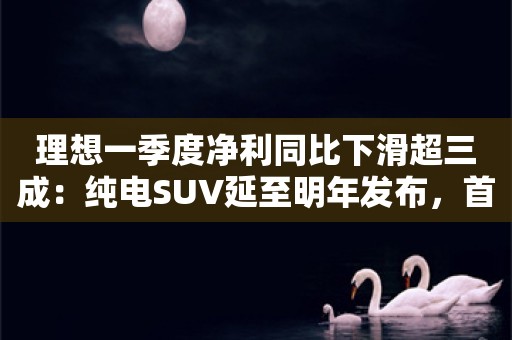 理想一季度净利同比下滑超三成：纯电SUV延至明年发布，首要任务恢复订单量