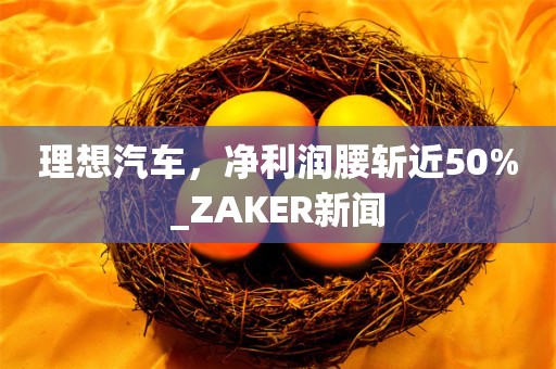 理想汽车，净利润腰斩近50%_ZAKER新闻