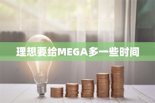 理想要给MEGA多一些时间