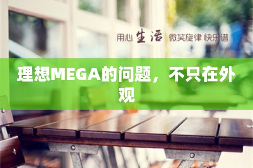 理想MEGA的问题，不只在外观