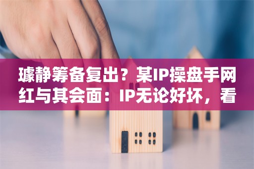 璩静筹备复出？某IP操盘手网红与其会面：IP无论好坏，看怎么用