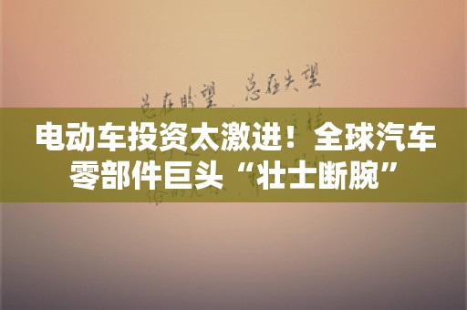 电动车投资太激进！全球汽车零部件巨头“壮士断腕”