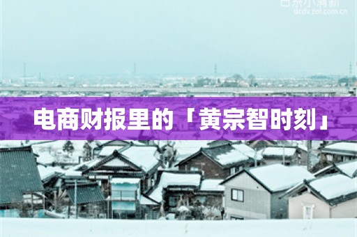 电商财报里的「黄宗智时刻」