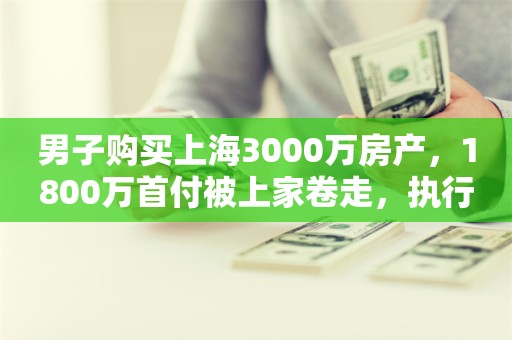 男子购买上海3000万房产，1800万首付被上家卷走，执行法官“清房”时吓一跳：地下室惊现人影……