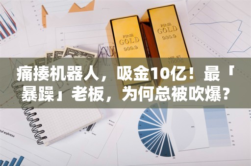 痛揍机器人，吸金10亿！最「暴躁」老板，为何总被吹爆？