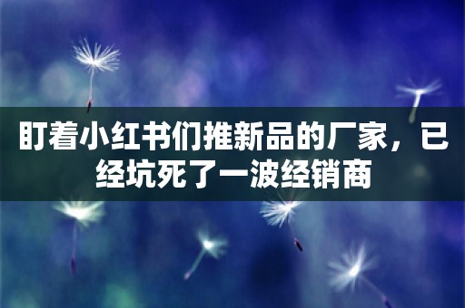 盯着小红书们推新品的厂家，已经坑死了一波经销商