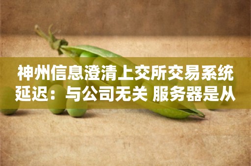 神州信息澄清上交所交易系统延迟：与公司无关 服务器是从其他厂商买的