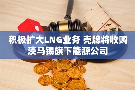 积极扩大LNG业务 壳牌将收购淡马锡旗下能源公司