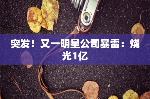 突发！又一明星公司暴雷：烧光1亿