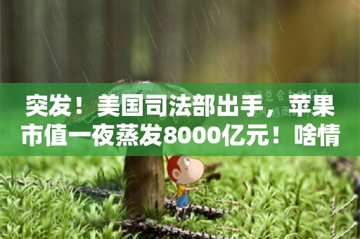 突发！美国司法部出手，苹果市值一夜蒸发8000亿元！啥情况？