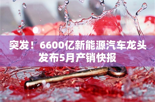 突发！6600亿新能源汽车龙头发布5月产销快报