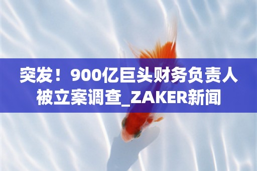 突发！900亿巨头财务负责人被立案调查_ZAKER新闻