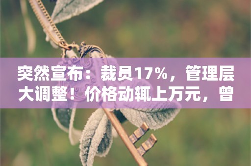 突然宣布：裁员17%，管理层大调整！价格动辄上万元，曾排队卖断货