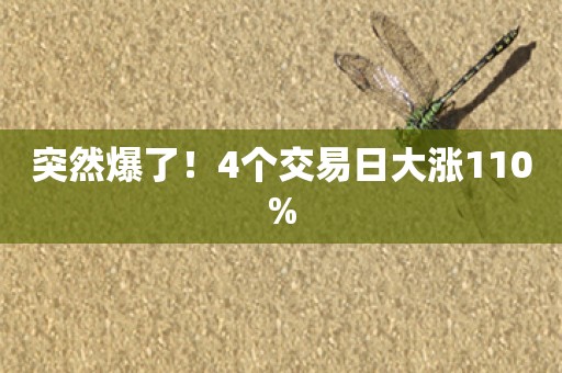 突然爆了！4个交易日大涨110%