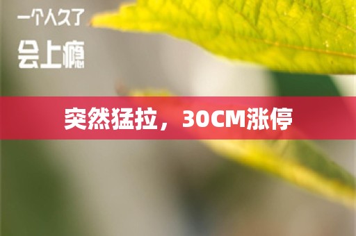 突然猛拉，30CM涨停