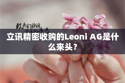 立讯精密收购的Leoni AG是什么来头？