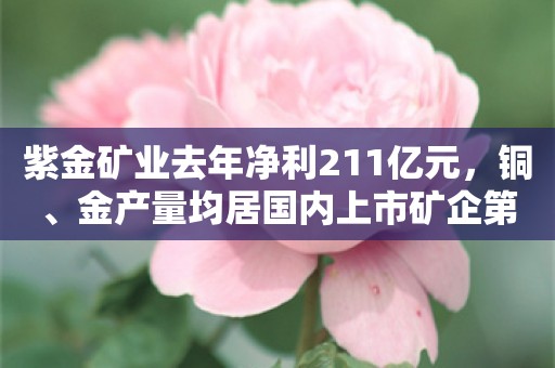 紫金矿业去年净利211亿元，铜、金产量均居国内上市矿企第一