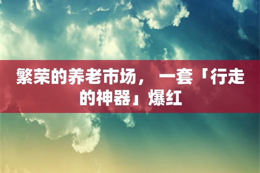 繁荣的养老市场， 一套「行走的神器」爆红