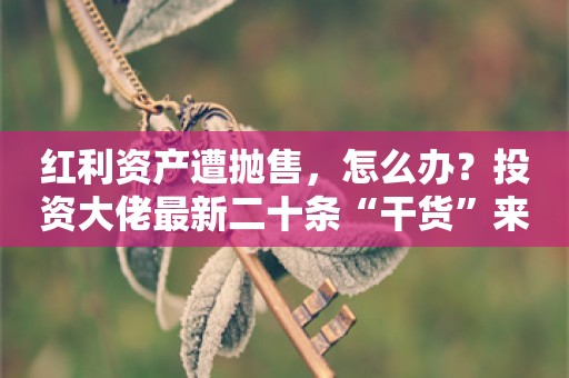 红利资产遭抛售，怎么办？投资大佬最新二十条“干货”来了