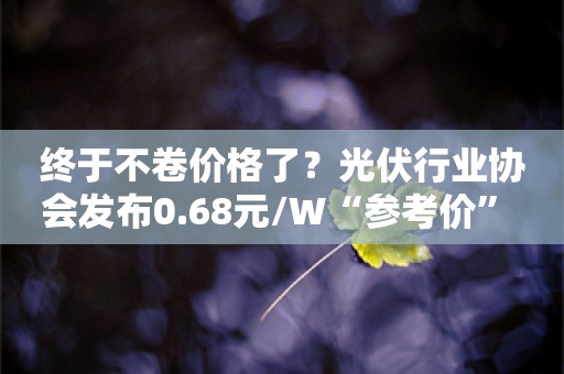 终于不卷价格了？光伏行业协会发布0.68元/W“参考价” 业内预计技术标权重或加大