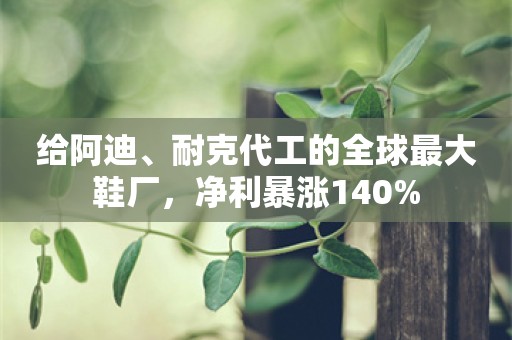 给阿迪、耐克代工的全球最大鞋厂，净利暴涨140%