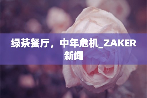 绿茶餐厅，中年危机_ZAKER新闻