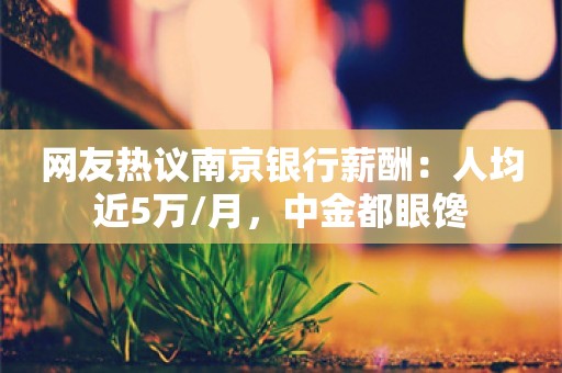 网友热议南京银行薪酬：人均近5万/月，中金都眼馋