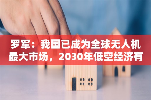 罗军：我国已成为全球无人机最大市场，2030年低空经济有望突破10万亿