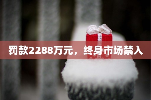 罚款2288万元，终身市场禁入