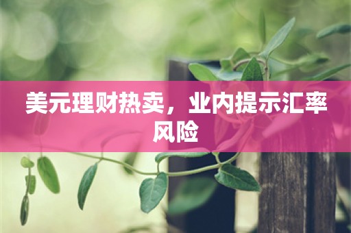 美元理财热卖，业内提示汇率风险