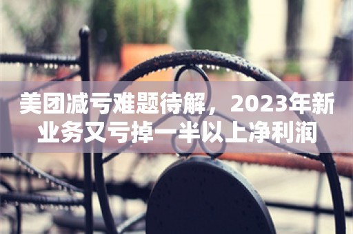 美团减亏难题待解，2023年新业务又亏掉一半以上净利润