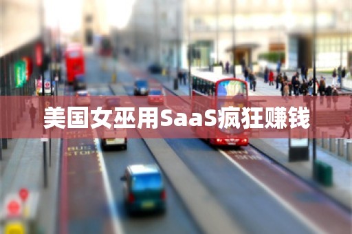 美国女巫用SaaS疯狂赚钱