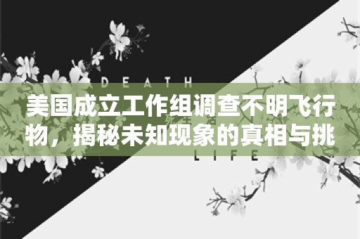 美国成立工作组调查不明飞行物，揭秘未知现象的真相与挑战